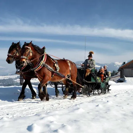 Apartman Modern Near The Area Maria Alm am Steinernen Meer