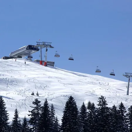 Modern Near The Area