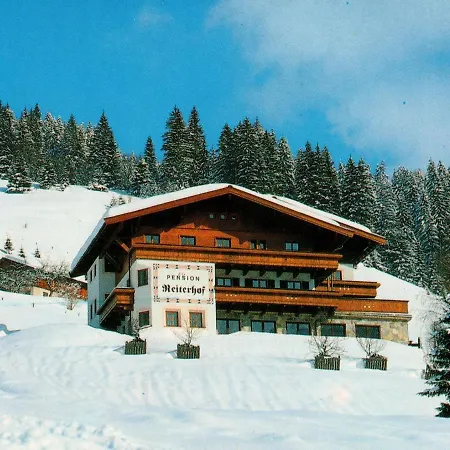 Modern Near The Area Maria Alm am Steinernen Meer