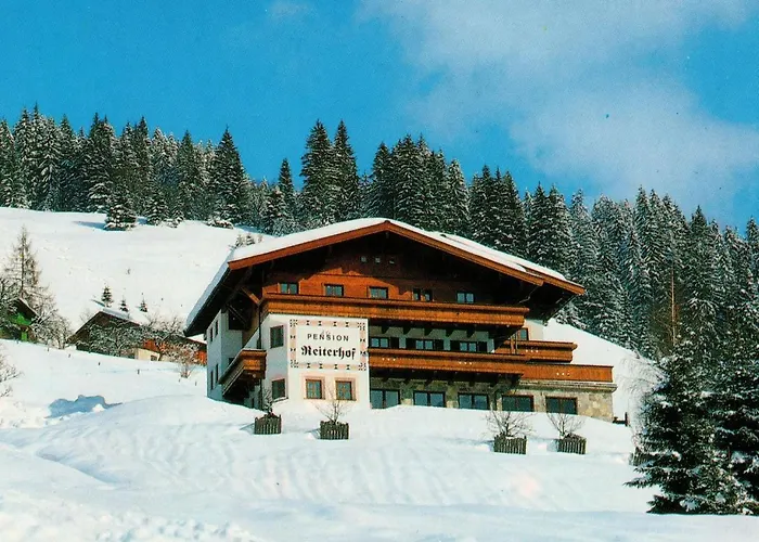 Modern Near The Area Maria Alm am Steinernen Meer
